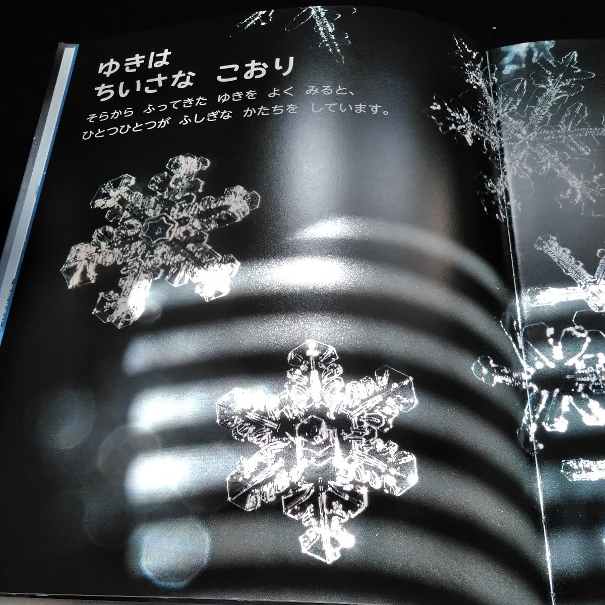 【2点購入150円引】キンダーブック しぜん チョコレート『2023年2月号』 Amazon.co.jp: キンダーブック 2023年 冬のえほんセット A